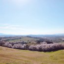 경인목장 이미지