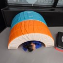 김상현 유도 GYM 이미지