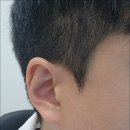 시그니아독일보청기(고양센터) 이미지