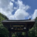 남양주 금선사, 야외 미술관 같은 이색 사찰 주차정보 및 방문 후기
