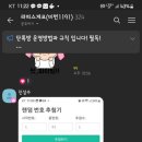 라피스게코 이미지