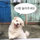 월 - 천안시 동남구 청수11로 24 | 월