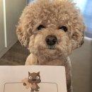 이광수동물병원 이미지