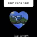 카페마주