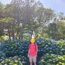 제주유리의성 | 제주 오설록 티뮤지엄 방문기, 무료 입장에 볼거리·먹거리 가득! (그리고 장,단점!)