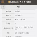 농협은행제주수련원해오름 | 극강의 가성비...! 제주 서귀포 NH농협은행 제주수련원 4인실 오션뷰 더블 숙박 후기