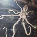 로컬푸드 앞(함지박 방면) | [전남무안맛집]사장님 여기 공깃밥 추가요~/만복이네 식당(feat.무안황토갯벌랜드 맛보기)