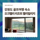 더운 여름골프 여행, 강원도로 떠나요! 오크밸리리조트 밸리빌리지 내돈내산 후기(빌라B, EAST 955호 뷰)