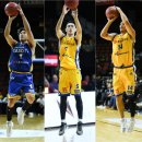 코지부호 이미지