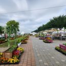 도시농업으로 힐링하기 이미지