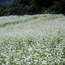 구병마을 이미지