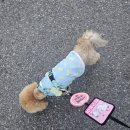 포유동물병원 이미지