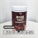 23그램(g) | 3번째 구매한 단쉐 플라이밀 리얼초코 맛 영양성분 단백질쉐이크 내돈내산 후기
