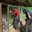 둥글개 둥글개 이미지