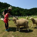 영업목장 이미지