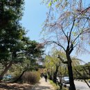 국립서울현충원 정문화장실 이미지