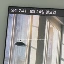 세븐일레븐 관악센터점 | 20250824