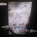 부연농장 이미지