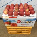 월곡농장 이미지