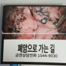 알고보면 조신한 이미지