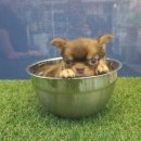 와와멍# 이미지