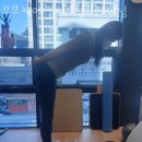 무브케어랩 퍼스널트레이닝 이미지