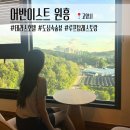 세븐일레븐 고양연결점 | 일산 어반이스트호텔 | 테라스 공간이 있는 프리미엄 디럭스 객실 후기