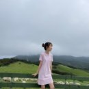 높은터목장 이미지