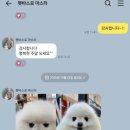 펫바스로 동탄 이미지