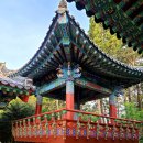 선광사 소장 목판본류 등 불경전적 일괄 | 제주 서귀포 남원 금호리조트 큰엉해변 태고종 선광사