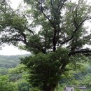갈꽃섬 모텔 | 남도여행 1일 두륜산 케이블카- 대흥사- 땅끝마을 갈두항- 노화도 산양진항