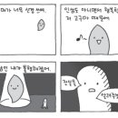 토마토펜션A