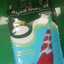 코이푸드 이미지