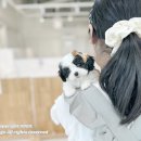 아이티즈 이미지