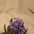 연빈화실 이미지