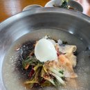 힘냉면 | 청주 봉명동 맛집 부민소문난세숫대야냉면 내돈내산 후기 : 물냉면과 만두 꿀조합 (주차 팁)