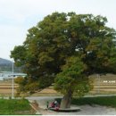 보성군립백민미술관 이미지