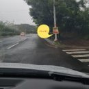 존슨셀프세차장