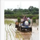 광염농장 이미지