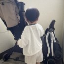 리안플러스