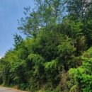 남동발전사원아파트 이미지