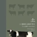 연암(소) 이미지