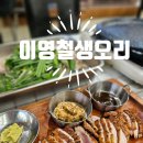 경기도 수원시 장안구 파장천로 | 장안구 파장동 맛집 북수원 모임장소 이영철생오리