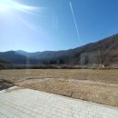 병목목장 티스토리