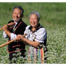 풀로만목장 이미지