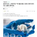 중국이 또 이상한 코로나 변종 바이러스 개발함 이미지