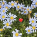 연제구 레이카운티 1단지어린이집 이미지