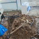 춘길농장 이미지