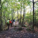 주말산행코스ㅣ충청도의 산] 두악산 727m 충북 단양군 단성면 이미지