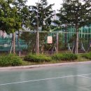 수영환경공원 농구장